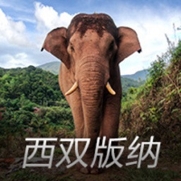 35岁妇女要性生活太频繁，36岁丈夫招架不住，竟残忍将妻子灭口